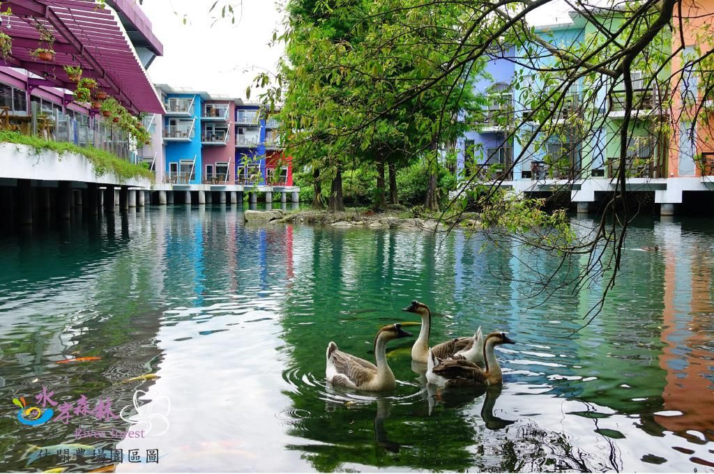 水岸森林會館照片2