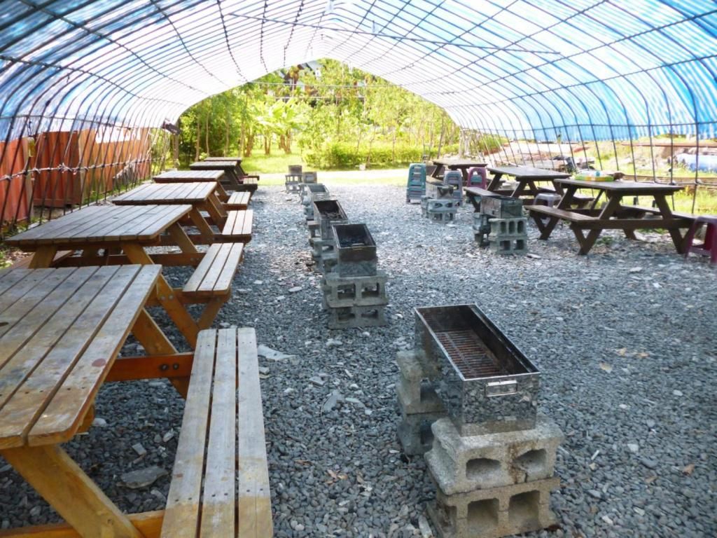 風箏小木屋照片5