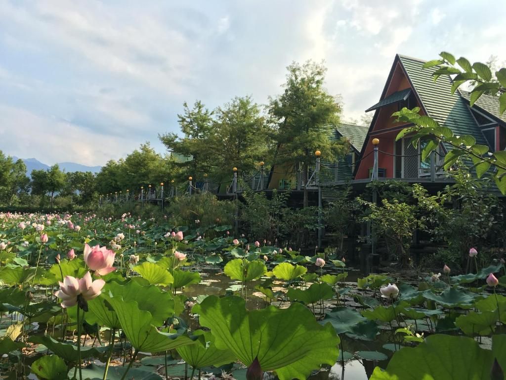 風箏小木屋照片2